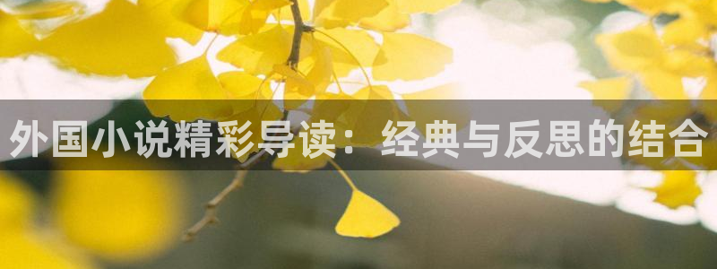 日本同人小说网站：外国小说精彩导读：经典与反思的结合