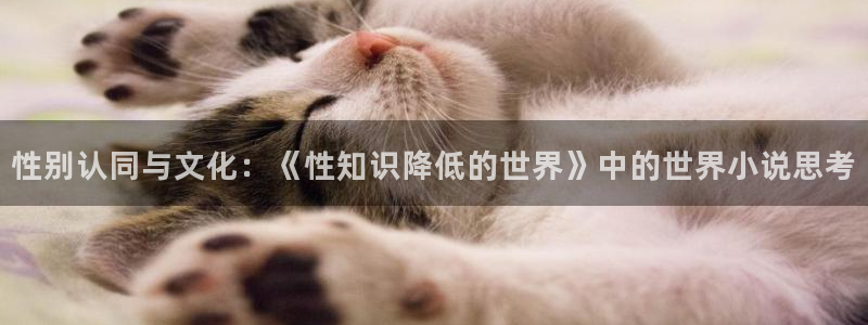 不二周助同人小说：性别认同与文化：《性知识降低的世界》中的世界小说思考