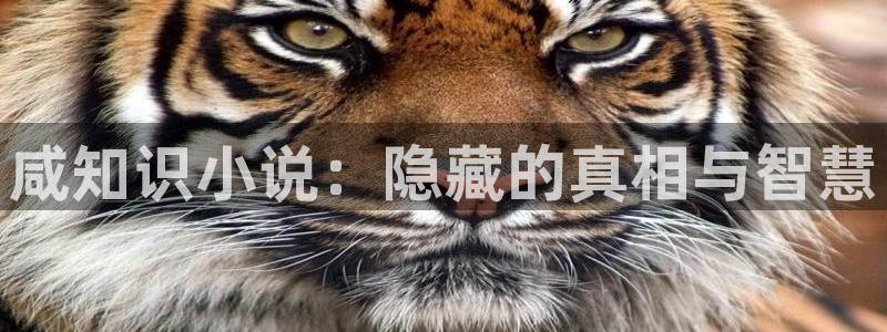 同人小说全文免费阅读：咸知识小说：隐藏的真相与智慧