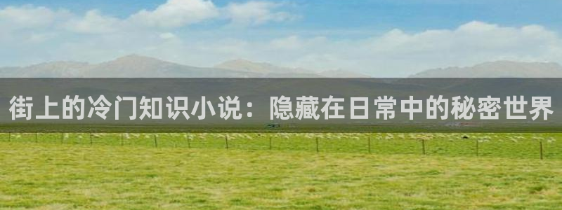 什么叫做同人小说：街上的冷门知识小说：隐藏在日常中的秘密世界
