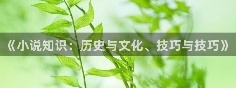 overlord同人小说：《小说知识：历史与文化、技巧与技巧》